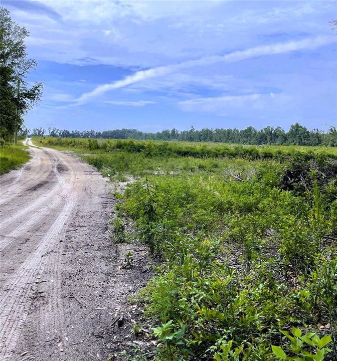 待售: $560,000 (40.00 acres)