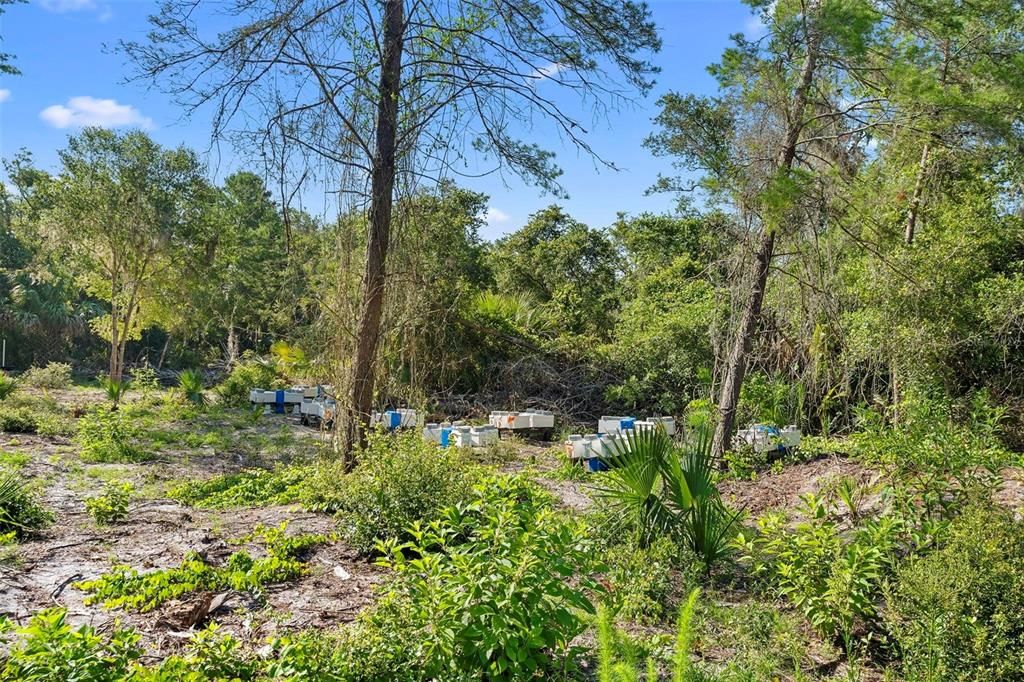 Под контрактом: $199,999 (3.14 acres)