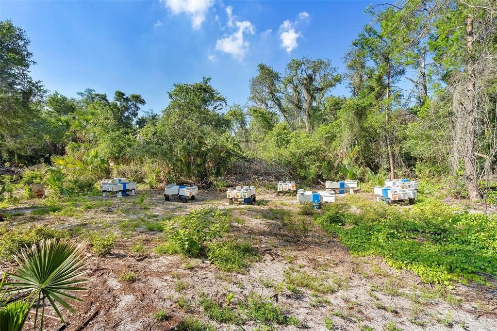 Под контрактом: $199,999 (3.14 acres)