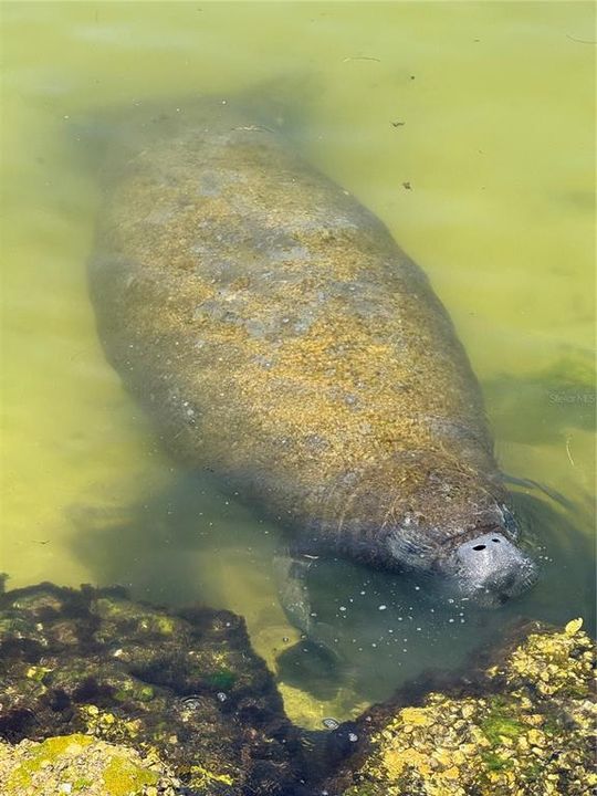 For Sale: $2,795,000 (5 beds, 3 baths, 4176 Square Feet)