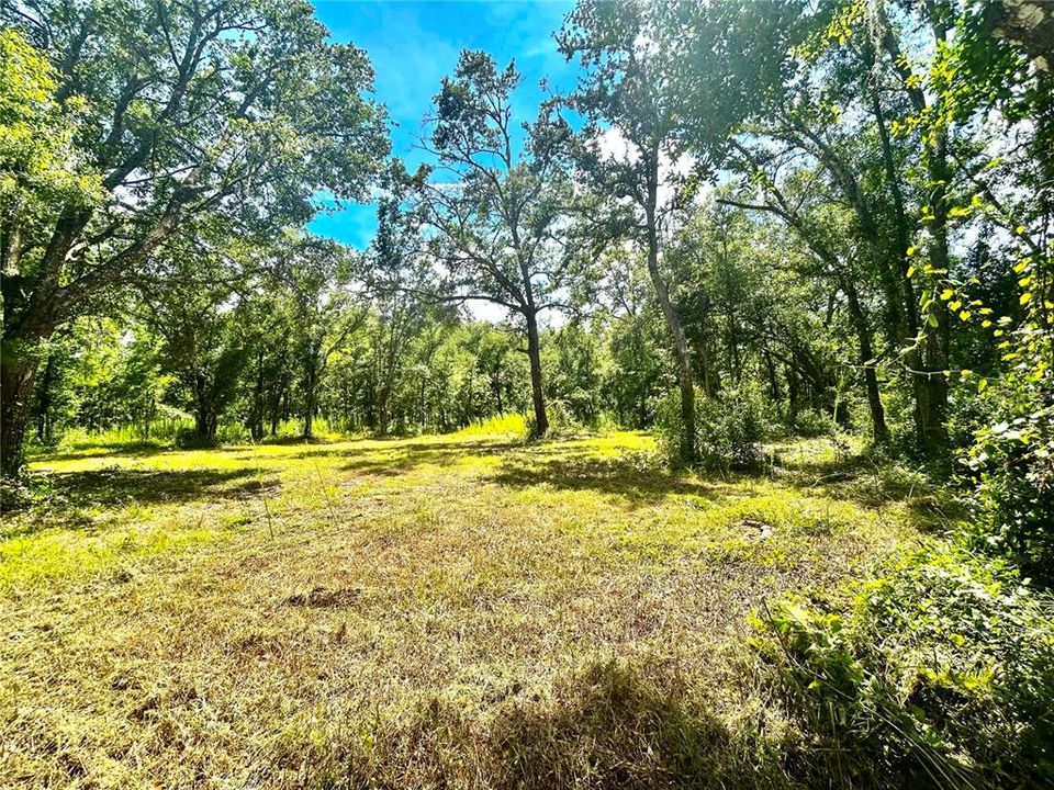 En Venta: $375,000 (4.38 acres)