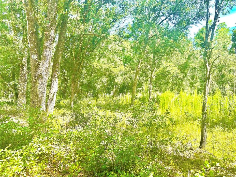 En Venta: $375,000 (4.38 acres)