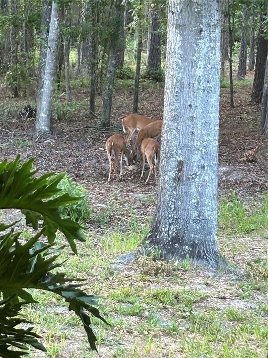 For Sale: $334,900 (2 beds, 1 baths, 720 Square Feet)