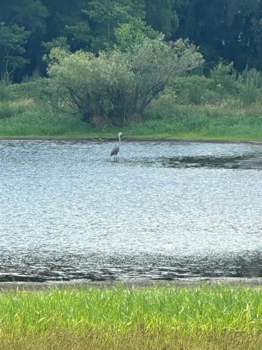 待售: $319,000 (10.02 acres)