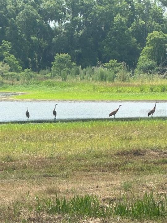 待售: $319,000 (10.02 acres)