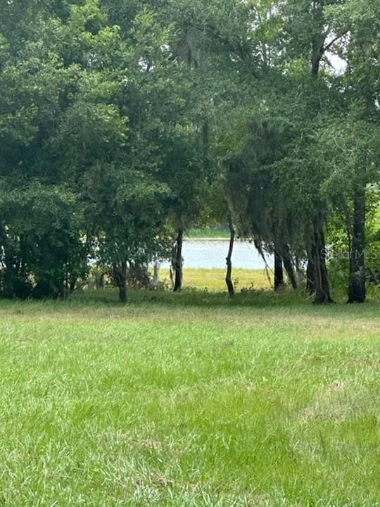 待售: $319,000 (10.02 acres)