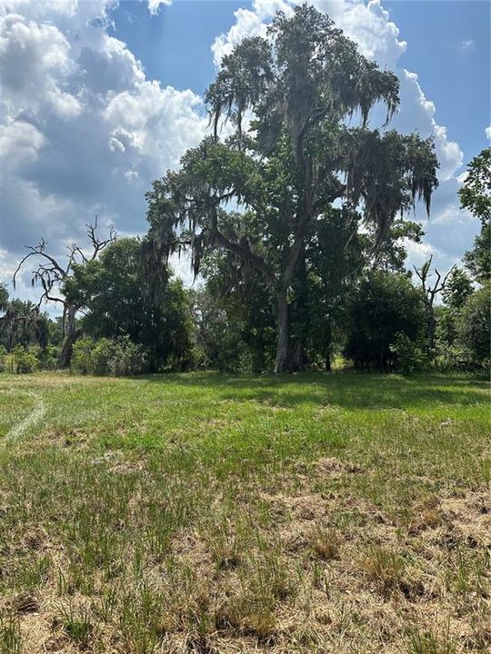 待售: $319,000 (10.02 acres)