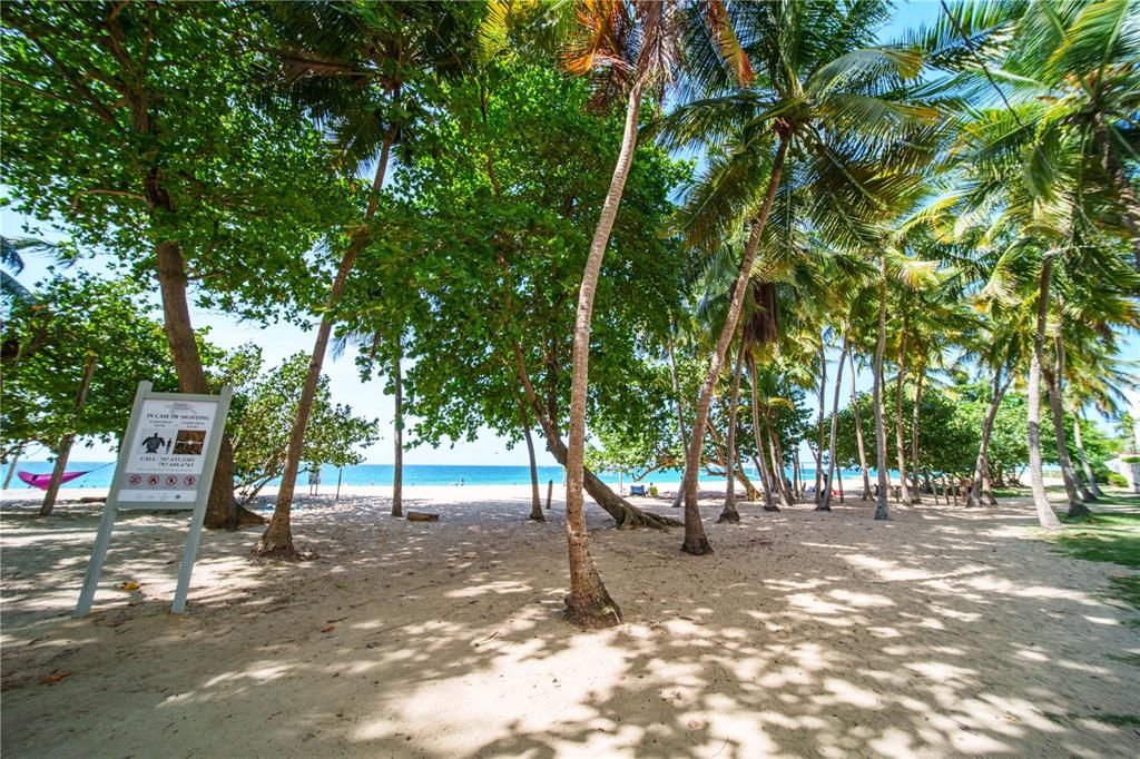 待售: $1,450,000 (3 贝兹, 2 浴室, 1618 平方英尺)