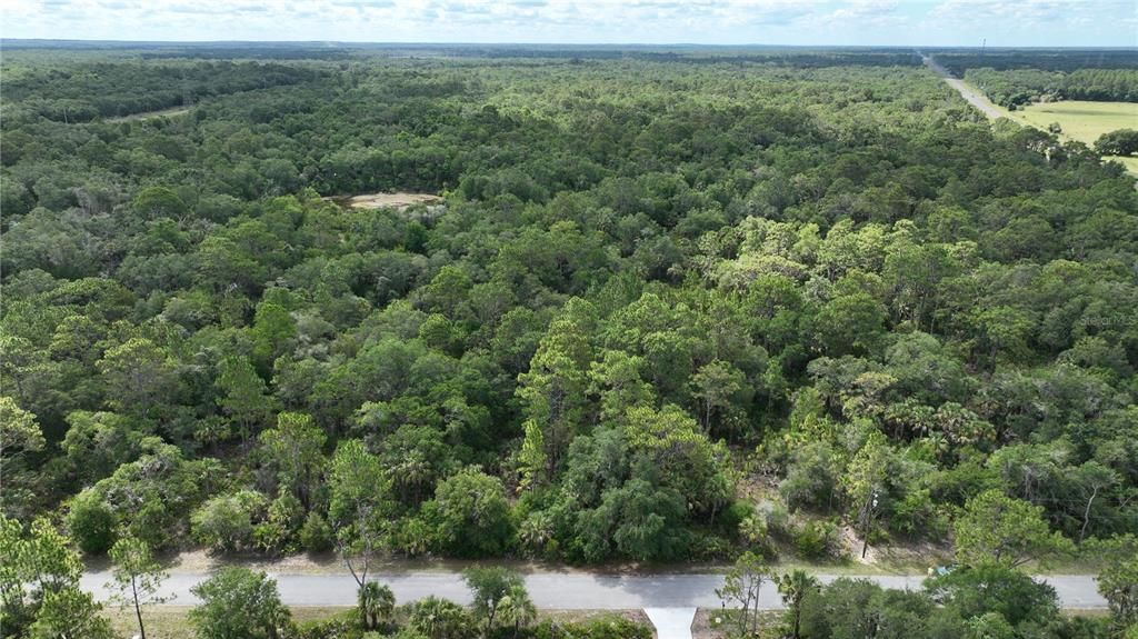 For Sale: $35,000 (1.43 acres)