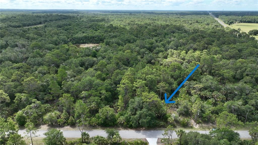 For Sale: $35,000 (1.43 acres)