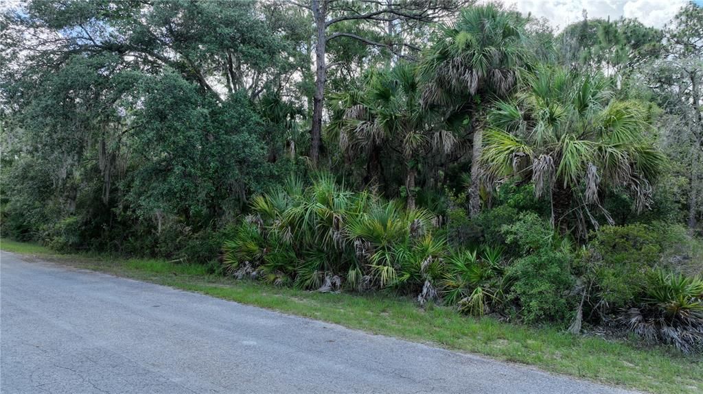 For Sale: $35,000 (1.43 acres)