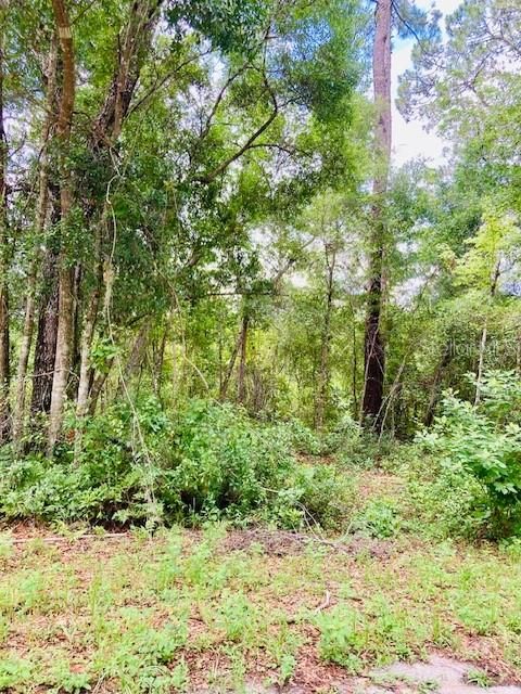 На продажу: $99,999 (3.62 acres)