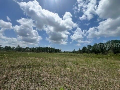 待售: $1,050,000 (32.81 acres)