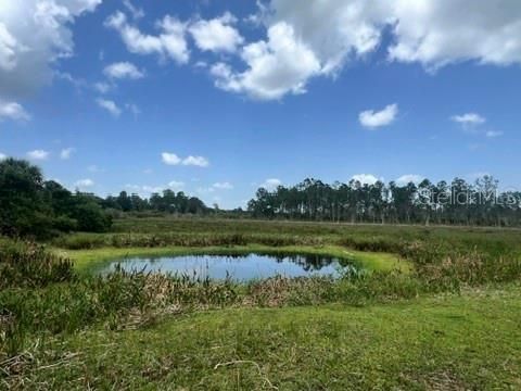 待售: $1,050,000 (32.81 acres)