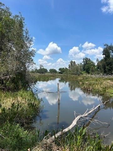 待售: $1,050,000 (32.81 acres)