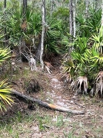 待售: $1,050,000 (32.81 acres)