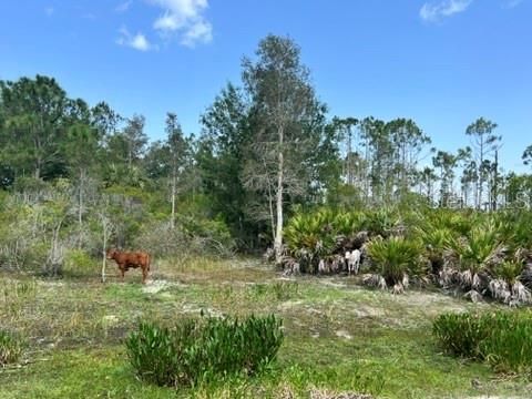 待售: $1,050,000 (32.81 acres)