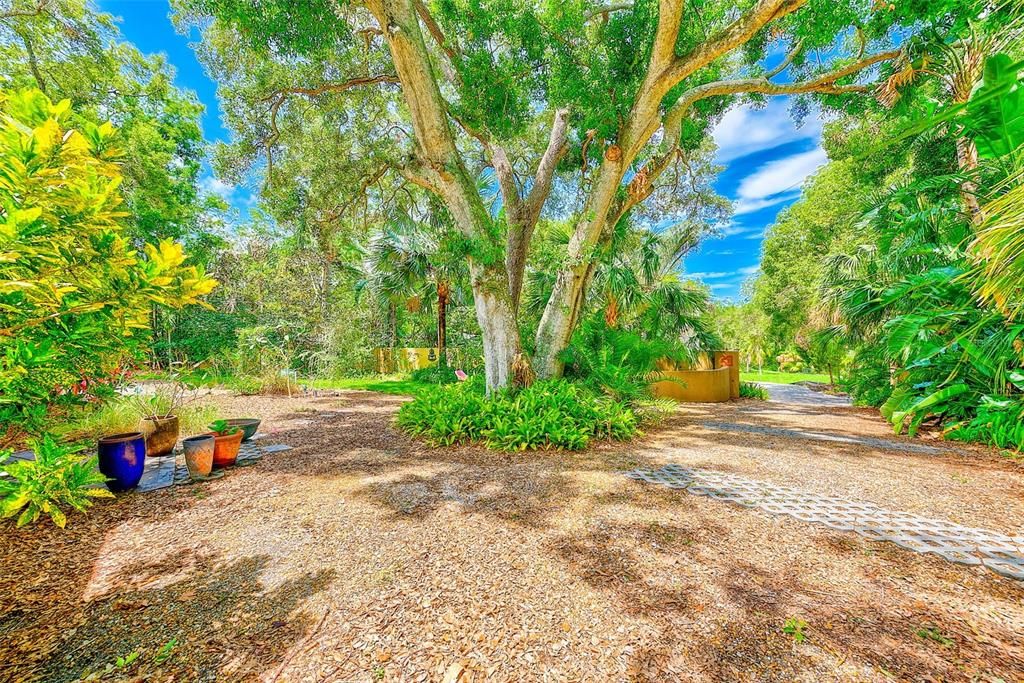 На продажу: $1,099,995 (3 спален, 2 ванн, 2282 Квадратных фут)