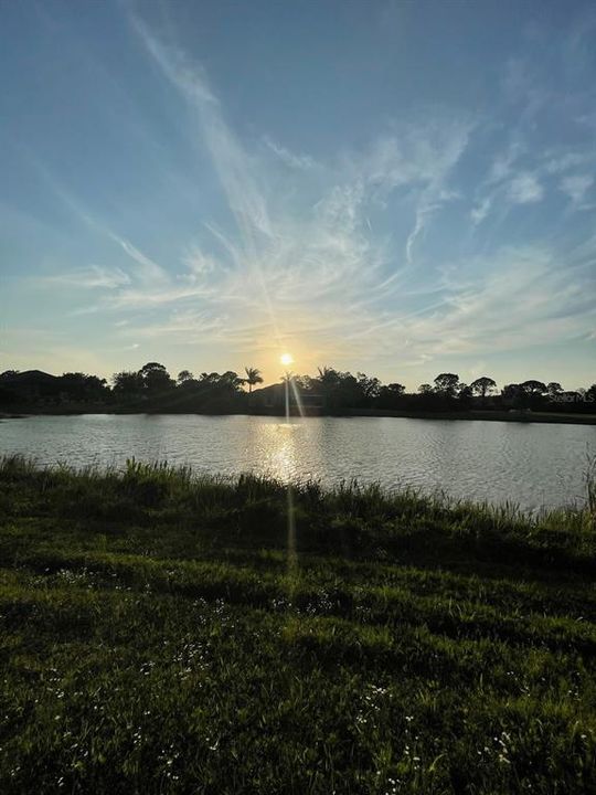 For Sale: $39,900 (0.17 acres)