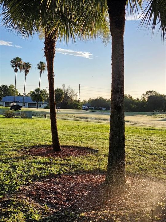 For Rent: $1,400 (2 beds, 2 baths, 1179 Square Feet)
