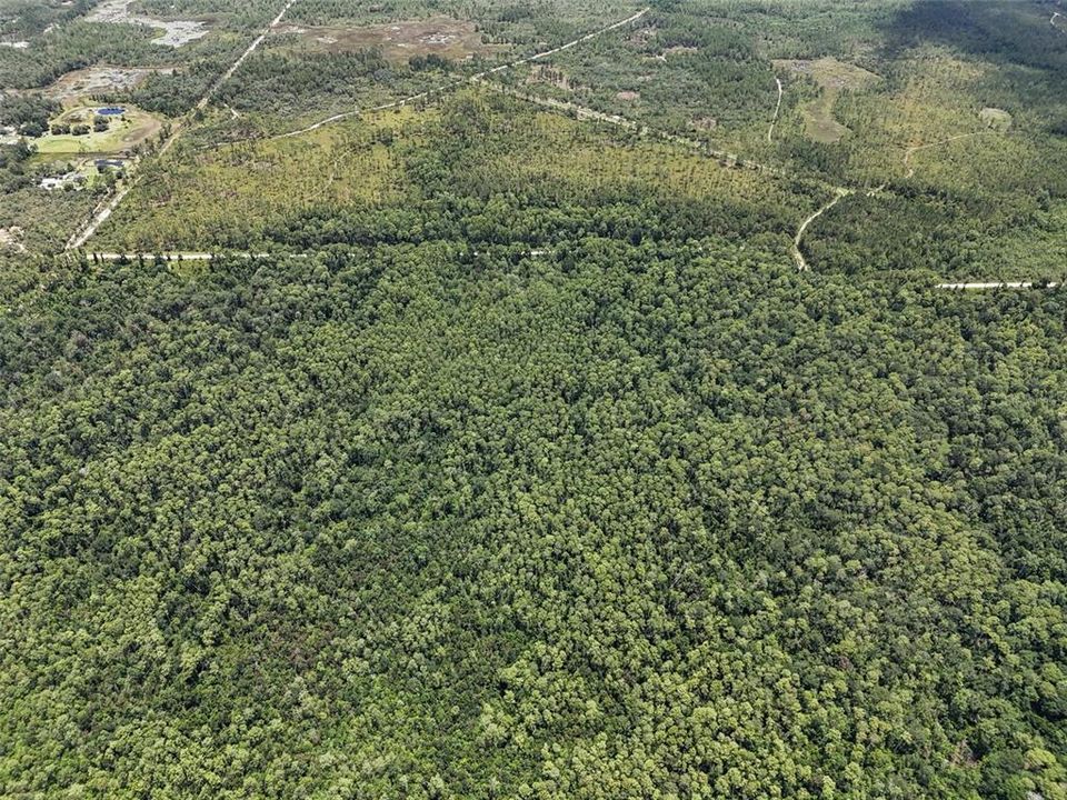 На продажу: $299,900 (50.00 acres)