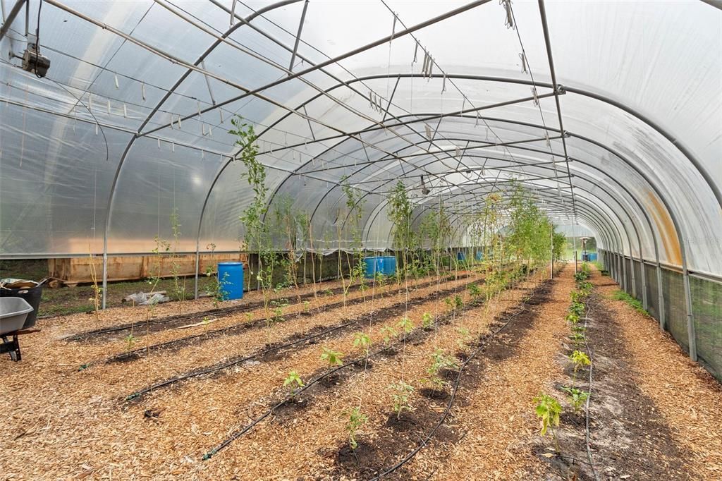 待售: $1,500,000 (8 贝兹, 4 浴室, 4450 平方英尺)