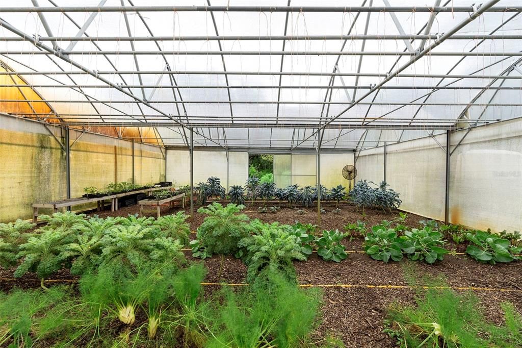 待售: $1,500,000 (8 贝兹, 4 浴室, 4450 平方英尺)