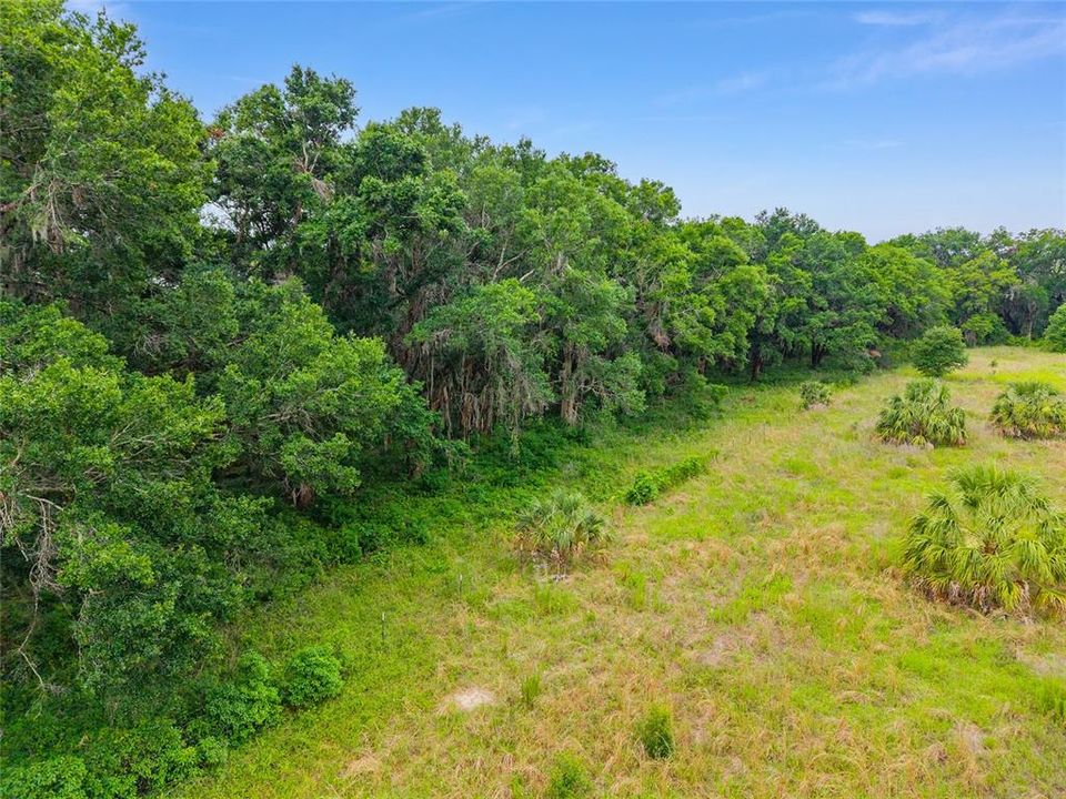 待售: $800,000 (16.23 acres)