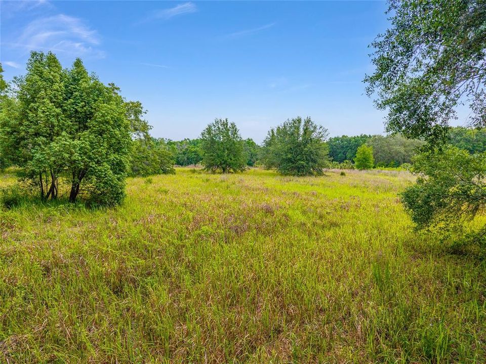 待售: $800,000 (16.23 acres)