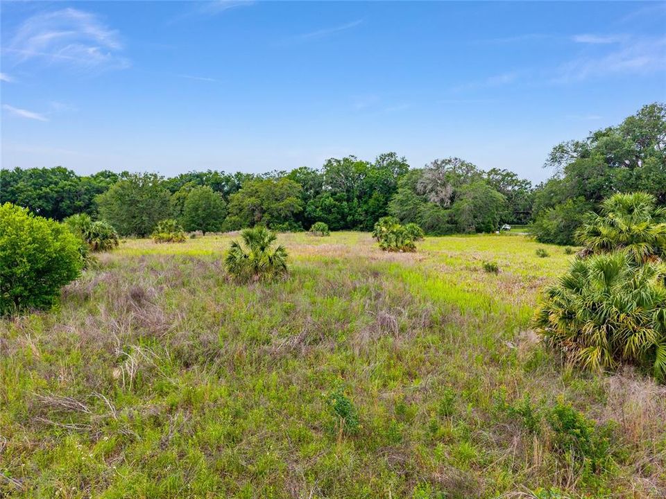 待售: $800,000 (16.23 acres)