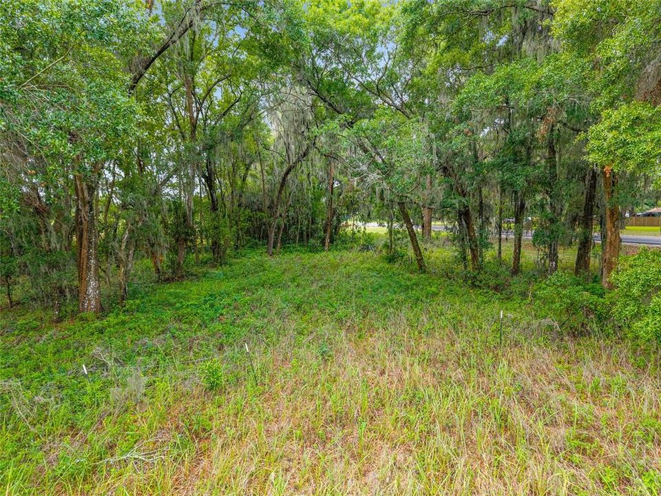 待售: $800,000 (16.23 acres)