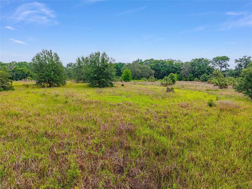 待售: $800,000 (16.23 acres)