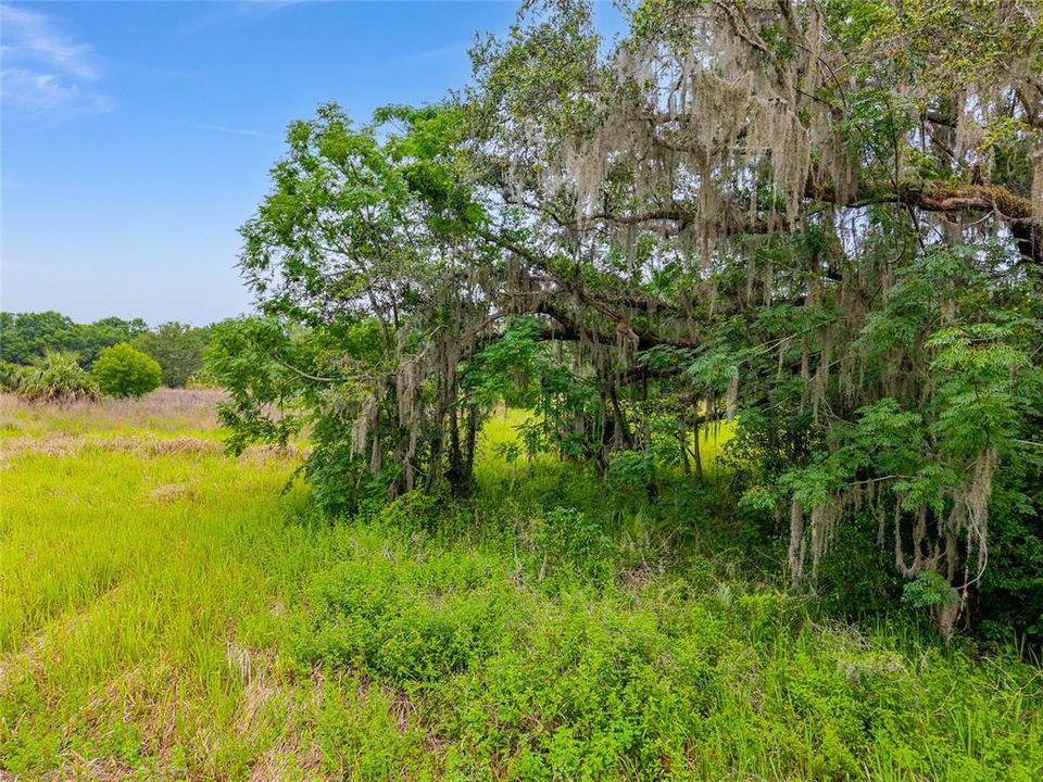 待售: $800,000 (16.23 acres)