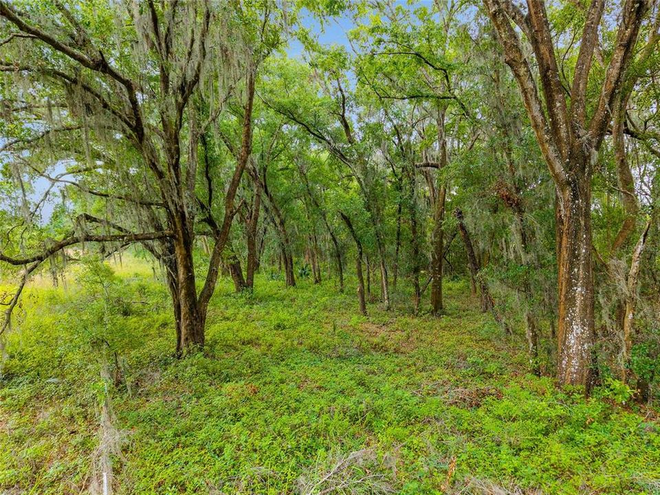 待售: $800,000 (16.23 acres)