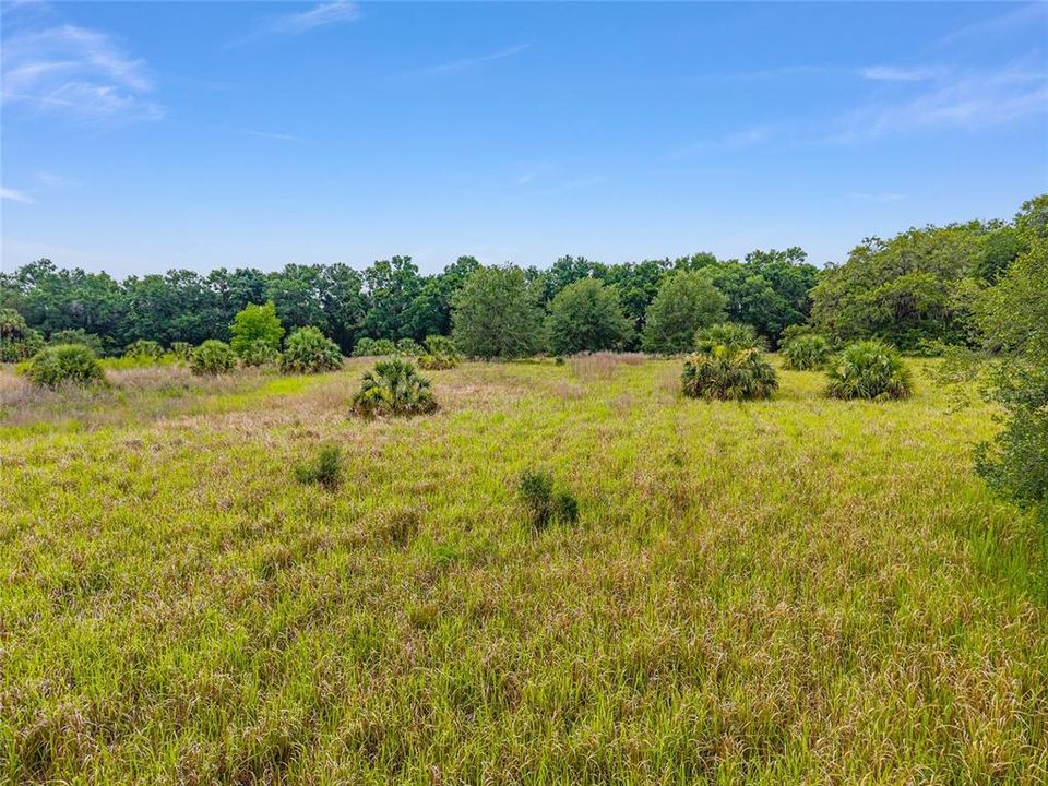 待售: $800,000 (16.23 acres)