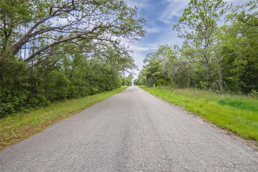 待售: $125,000 (1.59 acres)