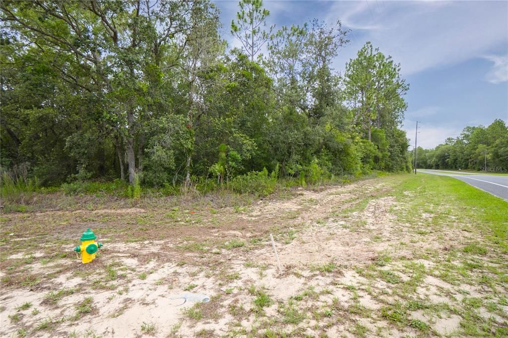 待售: $125,000 (1.59 acres)