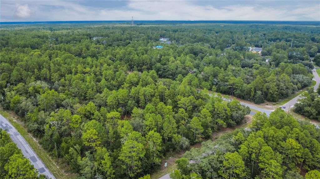 待售: $125,000 (1.59 acres)