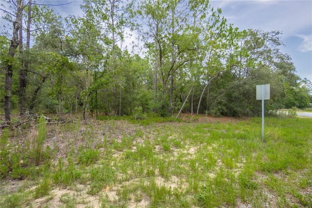 待售: $125,000 (1.59 acres)