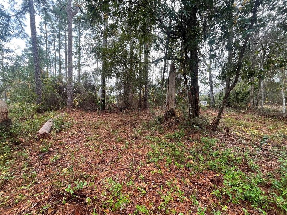 待售: $38,800 (0.52 acres)