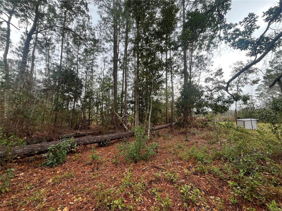 待售: $38,800 (0.52 acres)