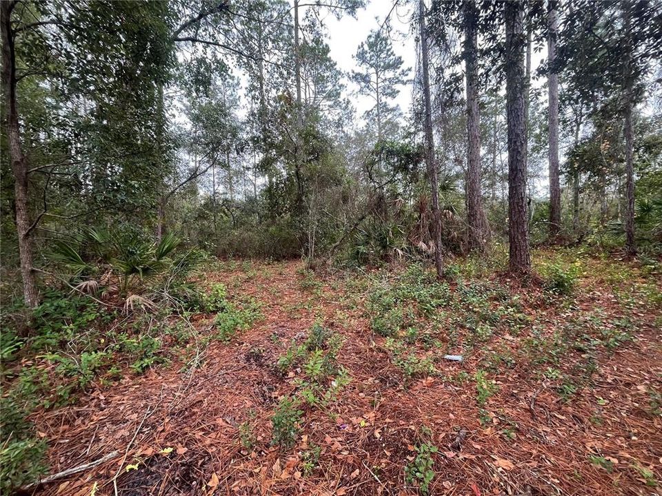 待售: $38,800 (0.52 acres)