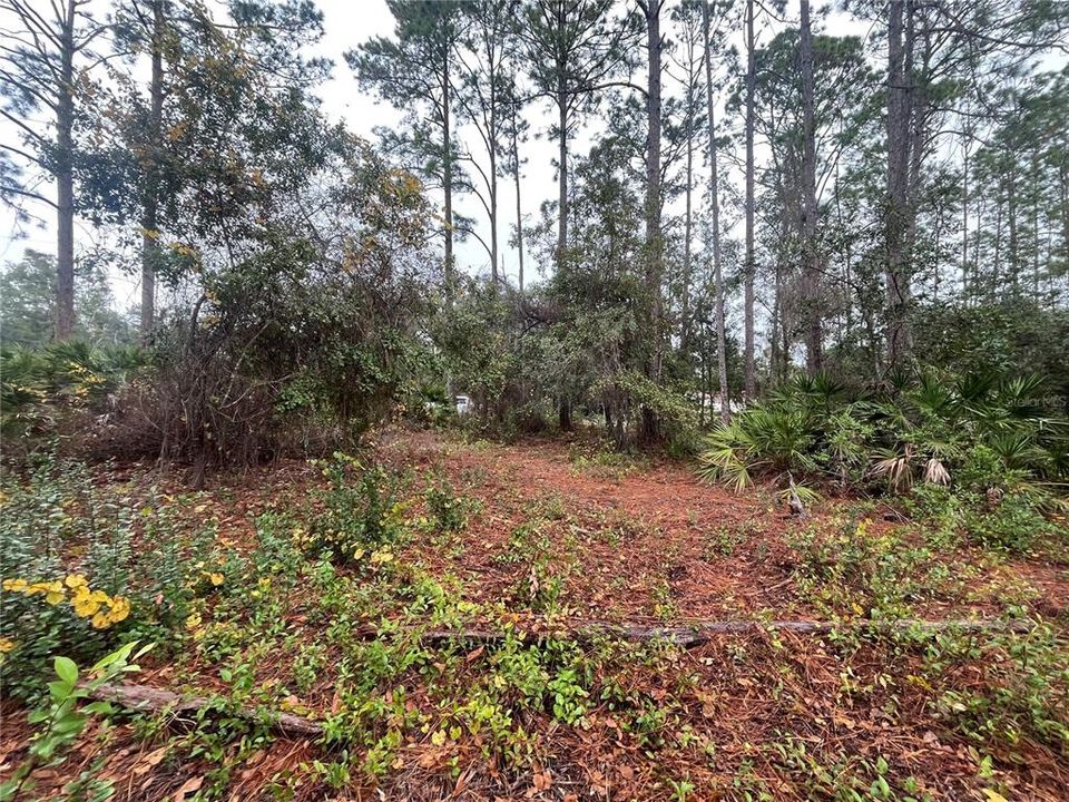 待售: $38,800 (0.52 acres)