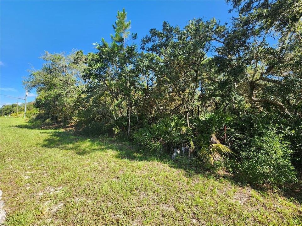 For Sale: $104,900 (1.03 acres)