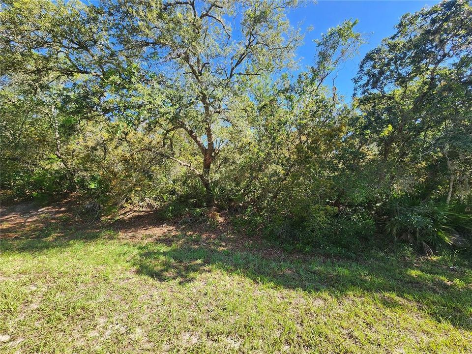 For Sale: $104,900 (1.03 acres)