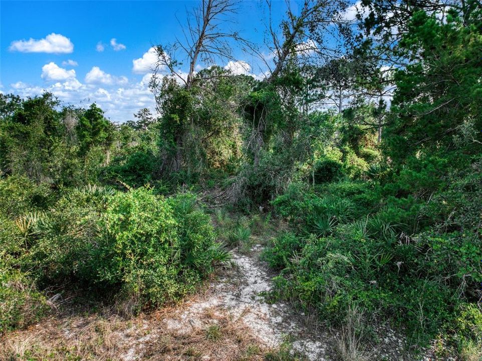 待售: $30,000 (0.22 acres)