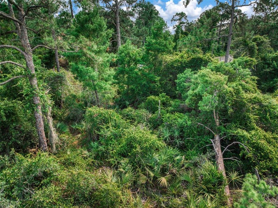 待售: $30,000 (0.22 acres)