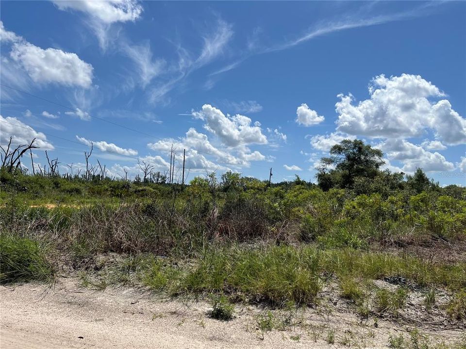 待售: $34,500 (1.25 acres)