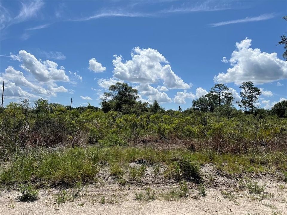 待售: $34,500 (1.25 acres)