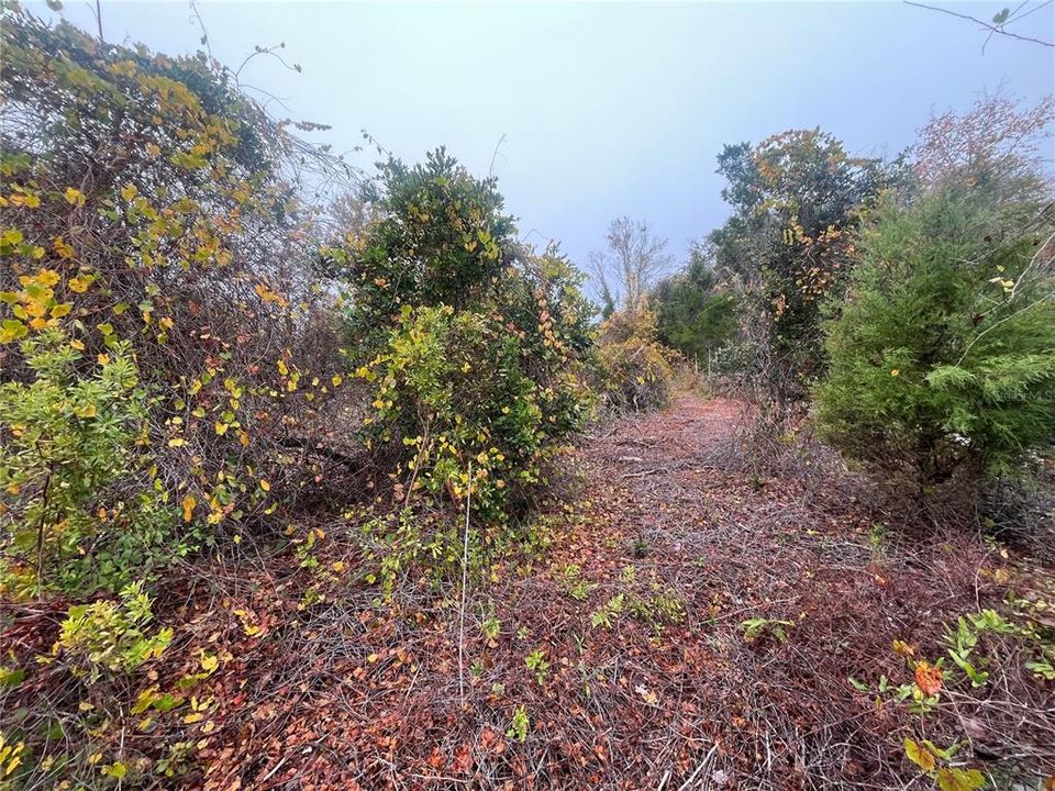 For Sale: $10,400 (0.23 acres)